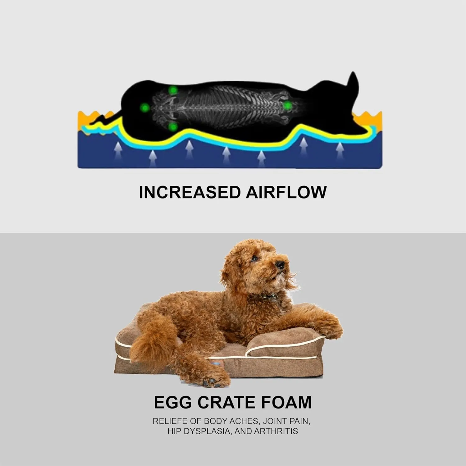 -kit Orthopedic Dog Bed with Blanket - Waterproof - Washable Cover and Memory Foam Dog Bed Cama para Perros Small Size Brown.