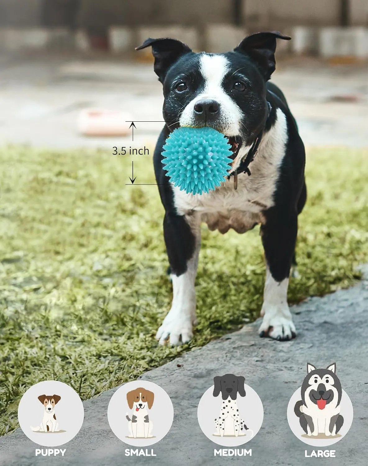 3.5' Spike Dog Balls - Squeaky, Durable Dog Chew Toys; 2-Pack Cleans Teeth, Trains Puppies to Adults; Perfect for Aggressive Chewers
