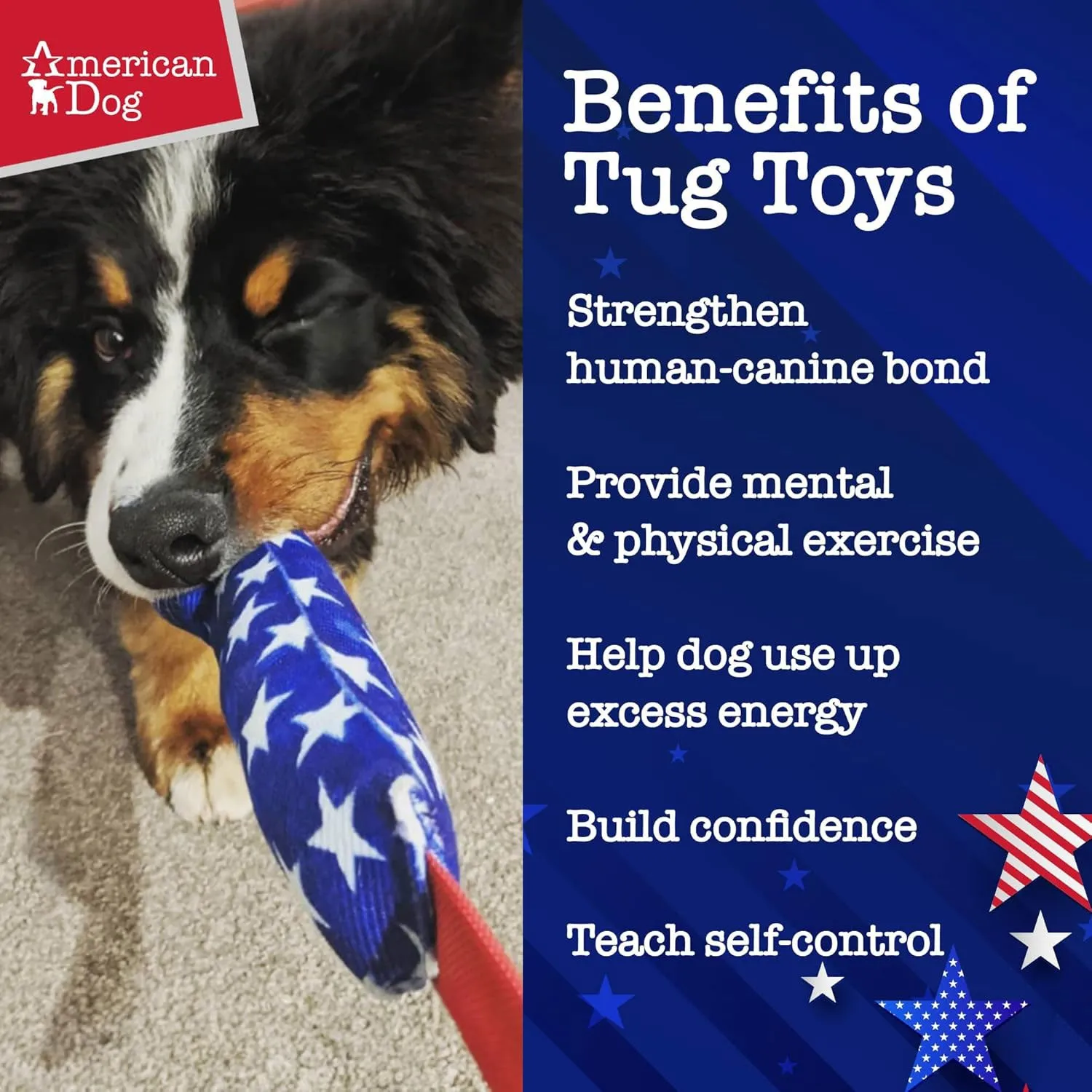 American Dog Run Play Relax Firehouse Tug