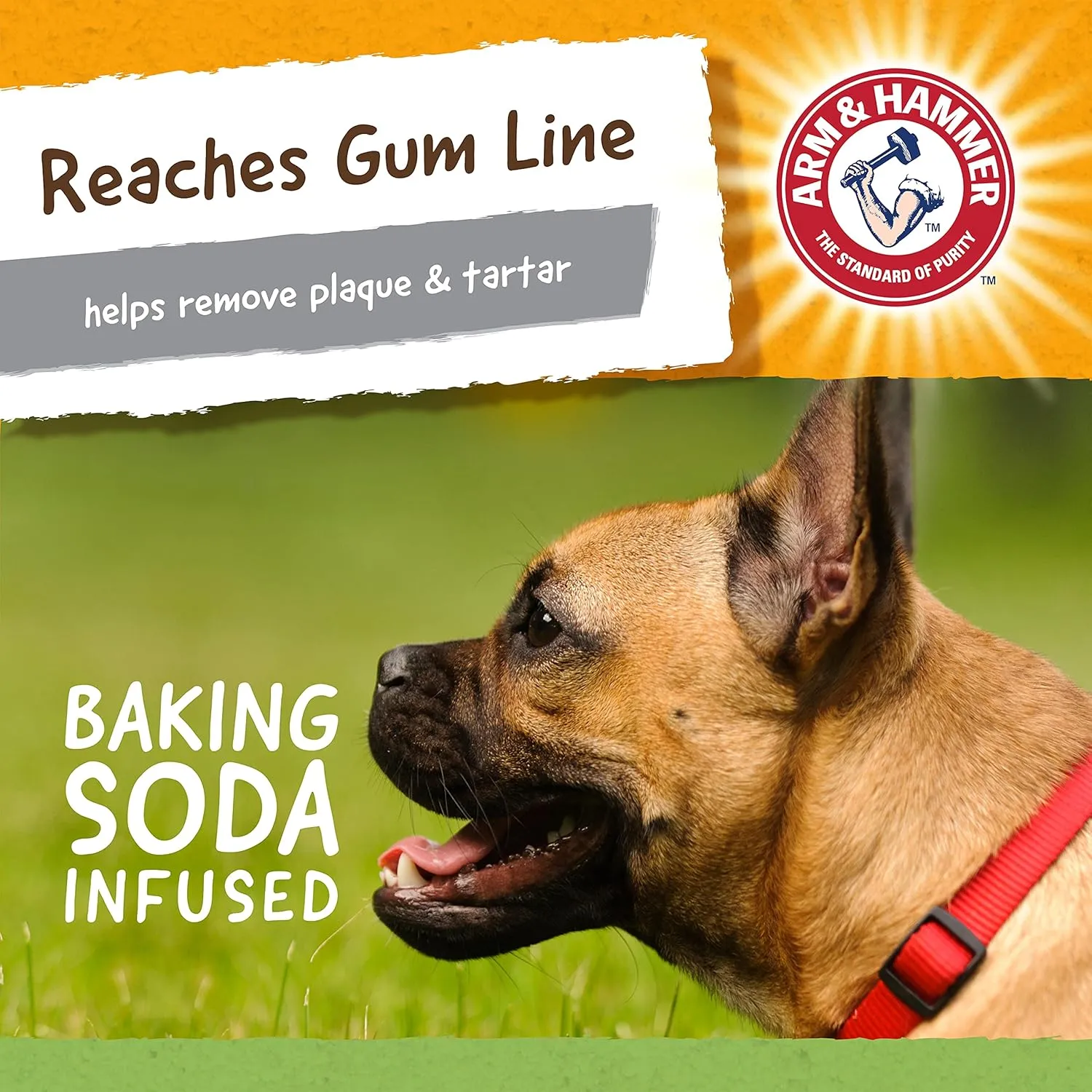 Arm & Hammer for Pets Nubbies Dental Toys T-Rex Dental Chew Toy for Dogs Best Dog Chew Toy for Moderate Chewers Reduces Plaque & Tartar Buildup Without Brushing, Mint Flavor (Pack of 24)