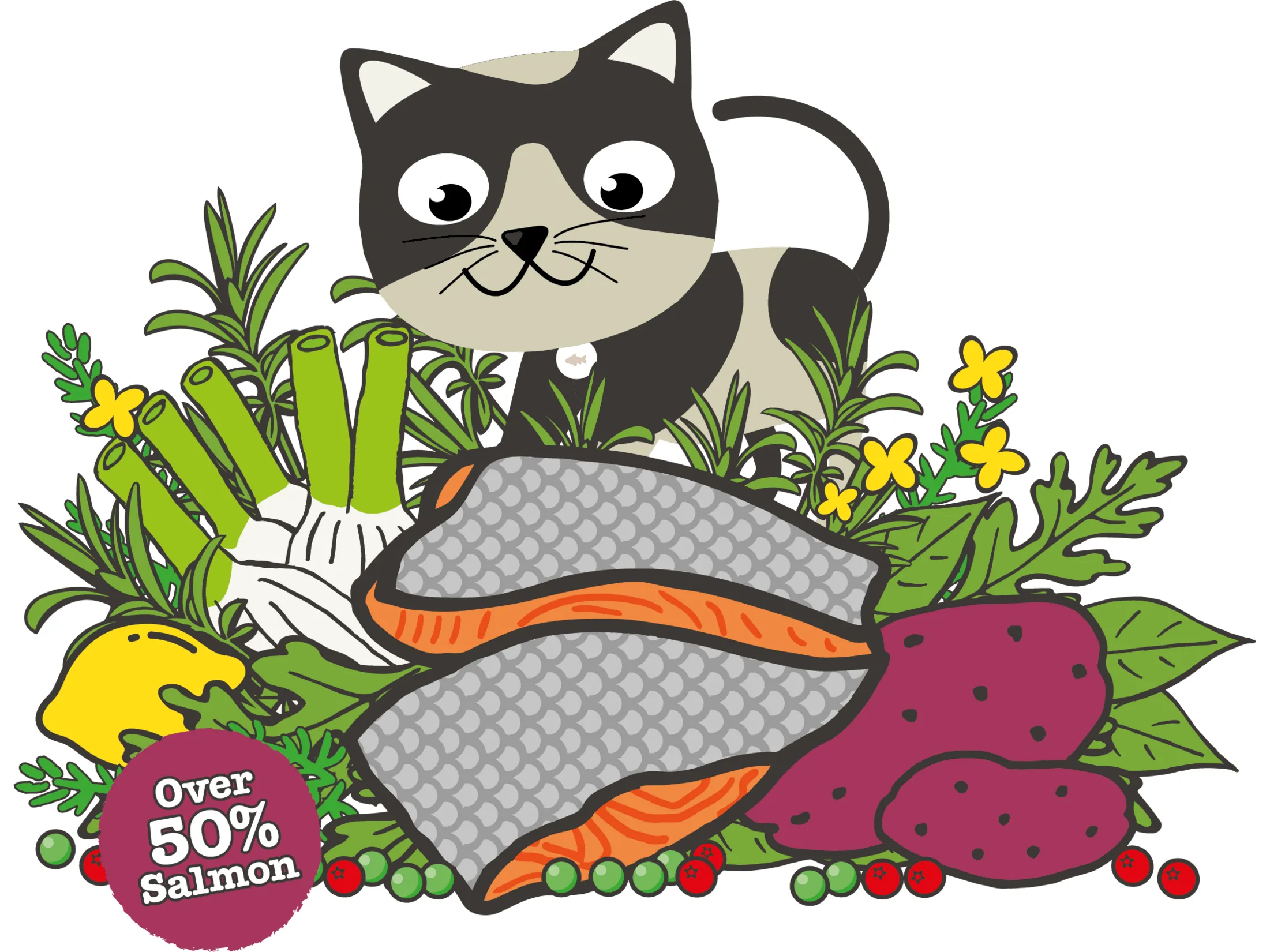 Atlantic Salmon Complete dry food for Adult Cats 1.5KG /Little BigPaw