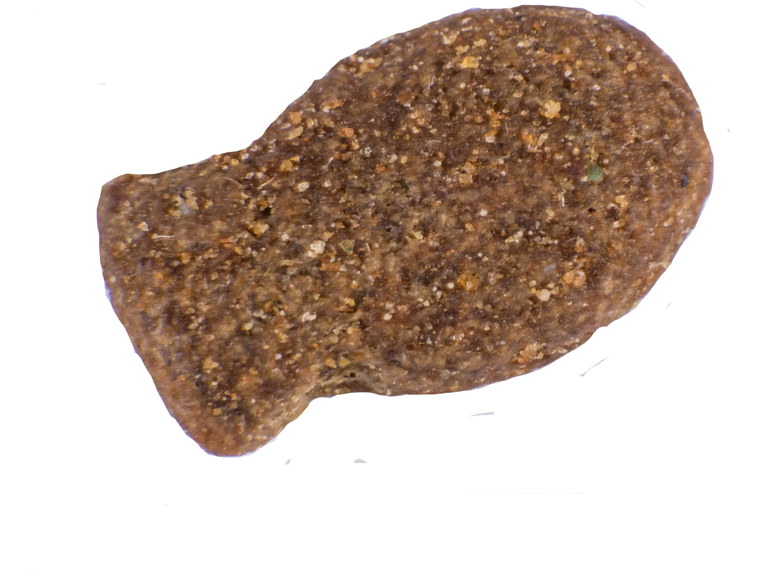 Atlantic Salmon Complete dry food for Adult Cats 1.5KG /Little BigPaw