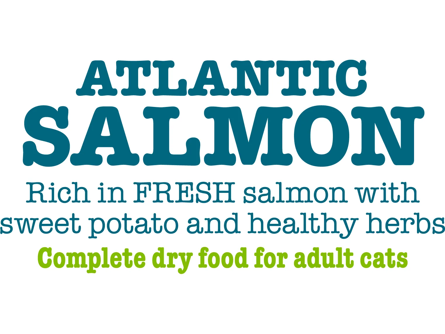 Atlantic Salmon Complete dry food for Adult Cats 1.5KG /Little BigPaw