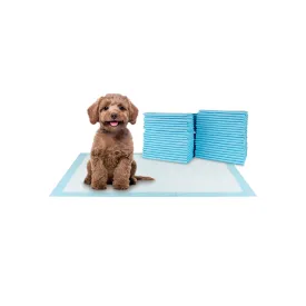 BV Pet Disposable Potty Training Pee Pads - Dog, Cat, Rabbit, Guinea Pig, 17" x 24", 100-Count