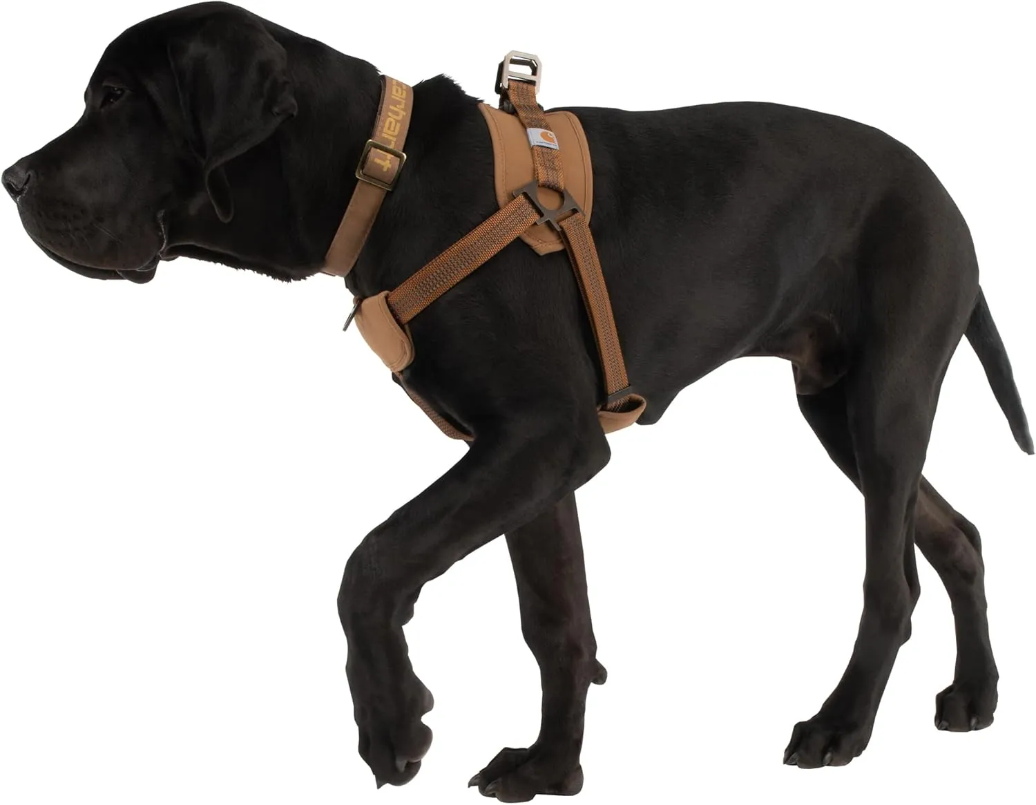 Carhartt Gear P0000341 Walking Harness - X-Large - Carhartt Brown