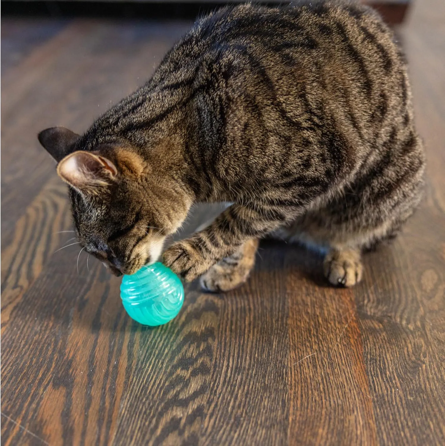 Catstages Ball Treat Stuffer Interactive Cat Toy, Green