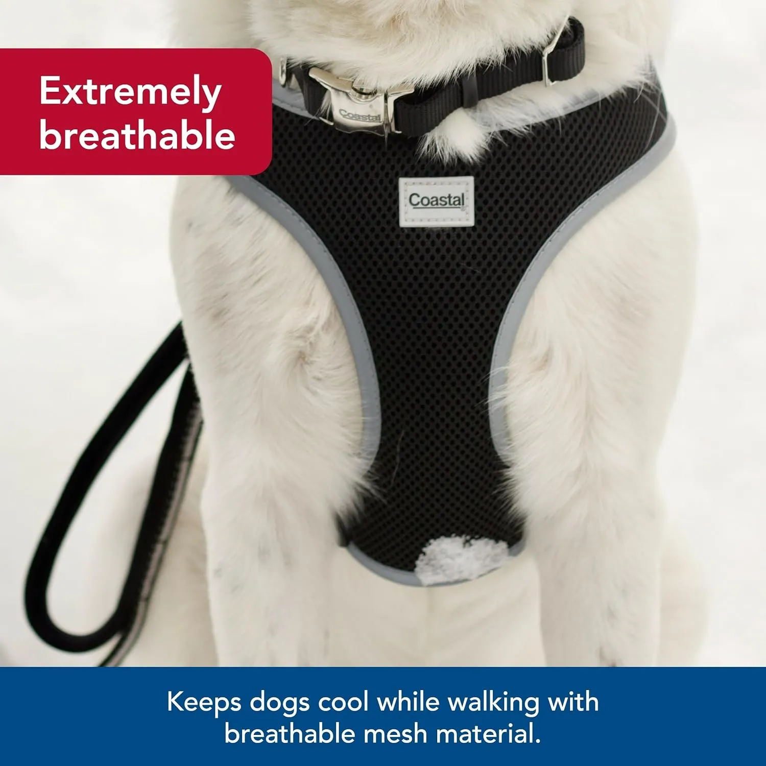 Coastal Pet Comfort Soft Reflective Wrap Adjustable Dog Harness - No-Pull Dog Harness for Small & Large Dogs - Black - 5/8" x 16"19"