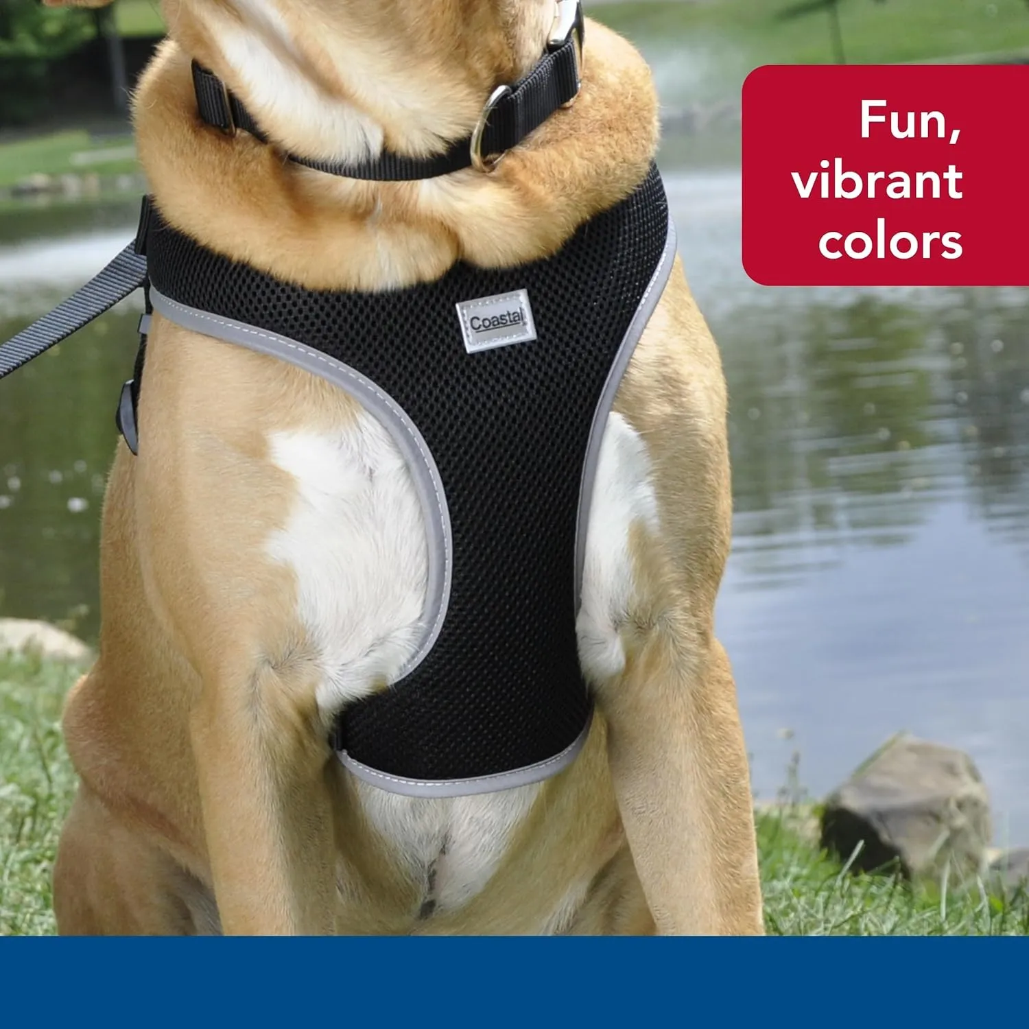 Coastal Pet Comfort Soft Reflective Wrap Adjustable Dog Harness - No-Pull Dog Harness for Small & Large Dogs - Black - 5/8" x 16"19"