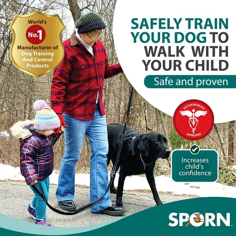 Double Handle Dog Leash Heavy Duty, Built-in Elastic Two Handle Dog Leash, Child Co Walk Shock Absorber Training Dog Leash with Reflective Stitching for High Visibility in Low Light Condition, Black