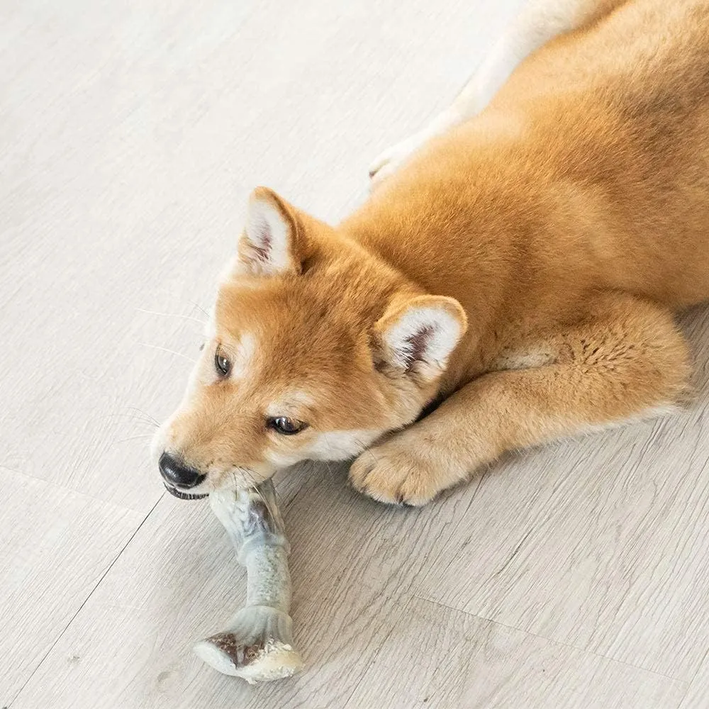 Durable Nylon Dog Chew Toys for Aggressive Chewers Large Medium Small Breeds, Indestructible Tough Dog Toy for Dog Teething Puppies (Antler Shape, 7.16 inches)