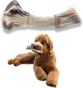 Durable Nylon Dog Chew Toys for Aggressive Chewers Large Medium Small Breeds, Indestructible Tough Dog Toy for Dog Teething Puppies (Antler Shape, 7.16 inches)