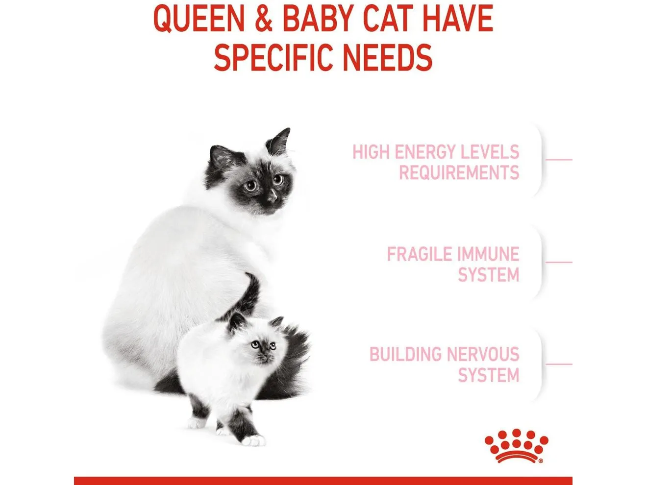 Feline Health Nutrition Mother & Babycat 4 KG