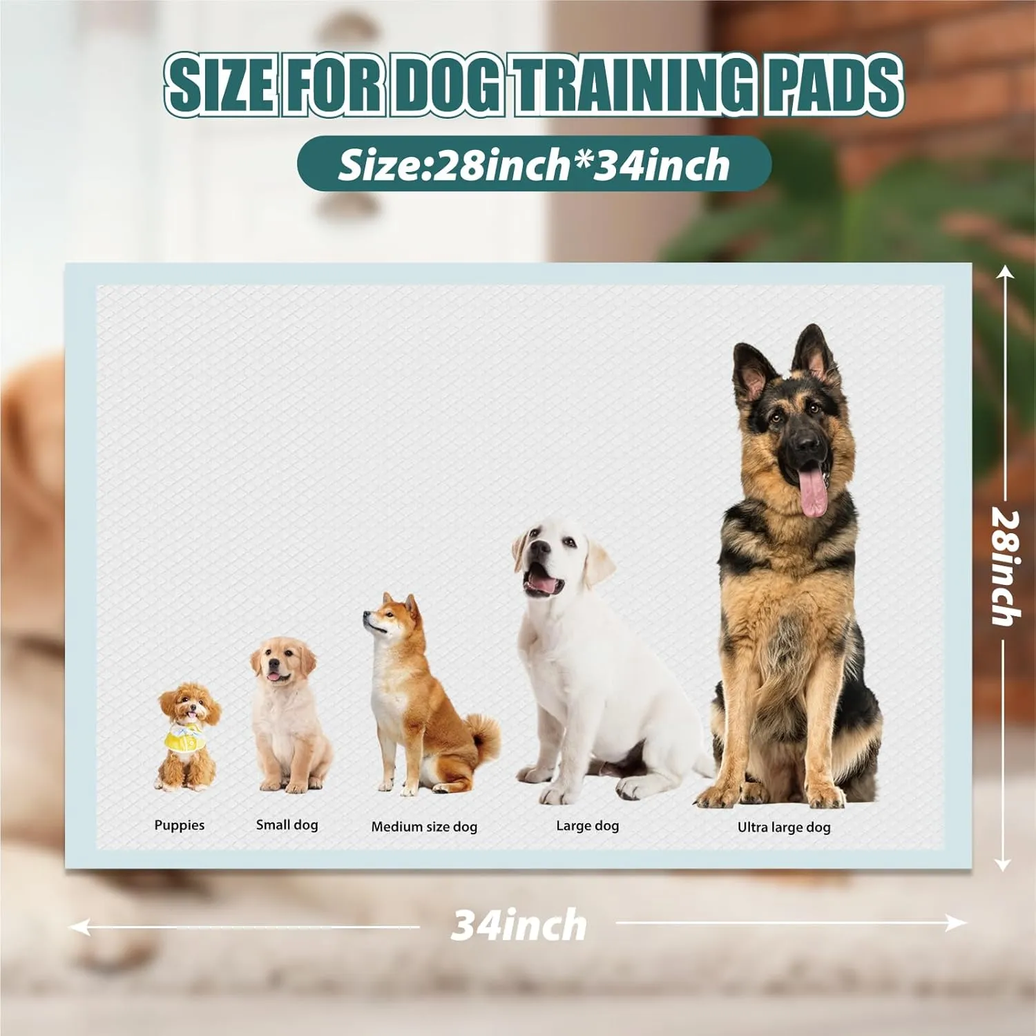 GWT Puppy Pads 40 Count, X-Large 5-Layer Pee Pads for Dogs Leak-Proof Quick-Dry Design,Potty Training Underpads for All Pets
