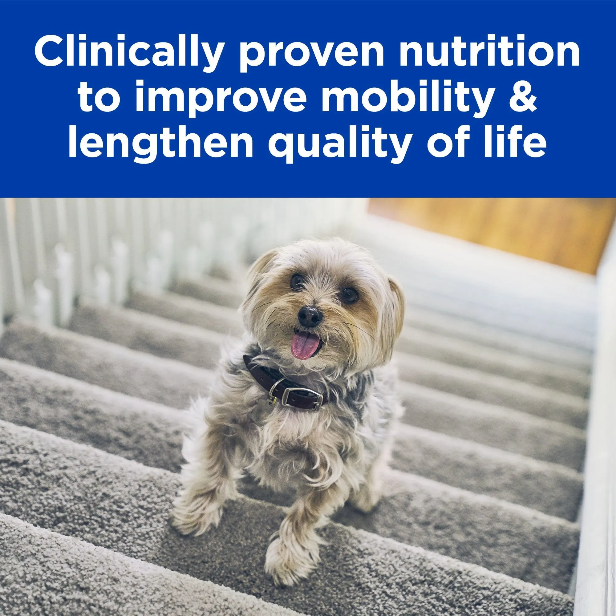 Hills Prescription Diet Dog k/d   Mobility Kidney and Joint Care Dry Food 8.48kg
