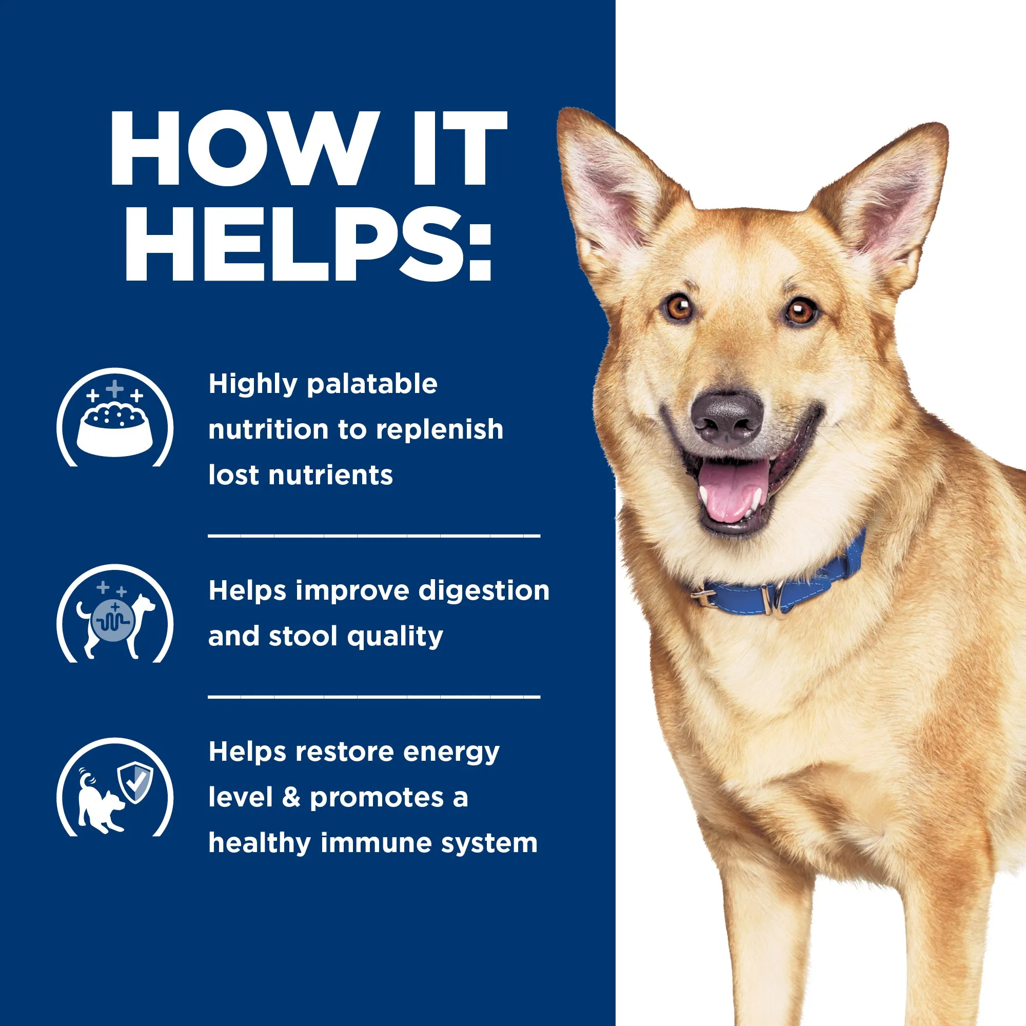 Hill's Prescription Diet i/d Digestive Care Chicken & Vegetable Stew Canned Dog Food 156g x 24