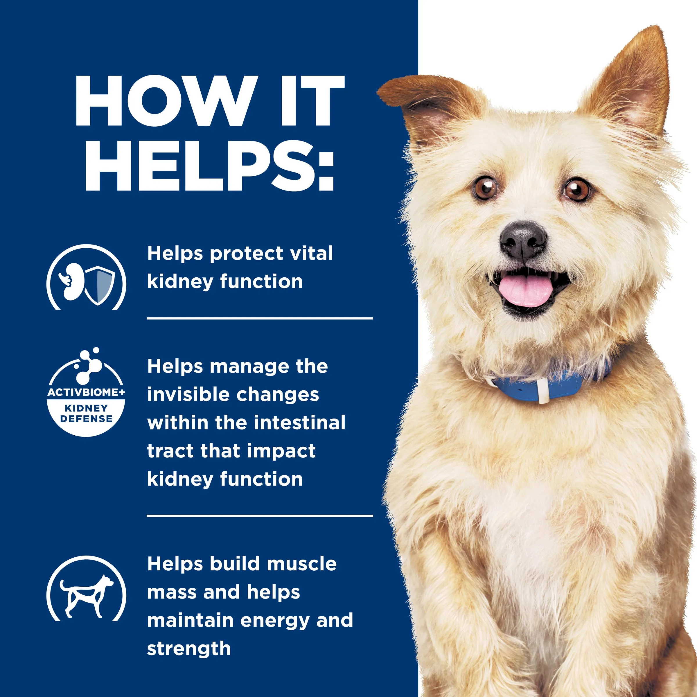Hill's Prescription Diet k/d Kidney Care Dry Dog Food