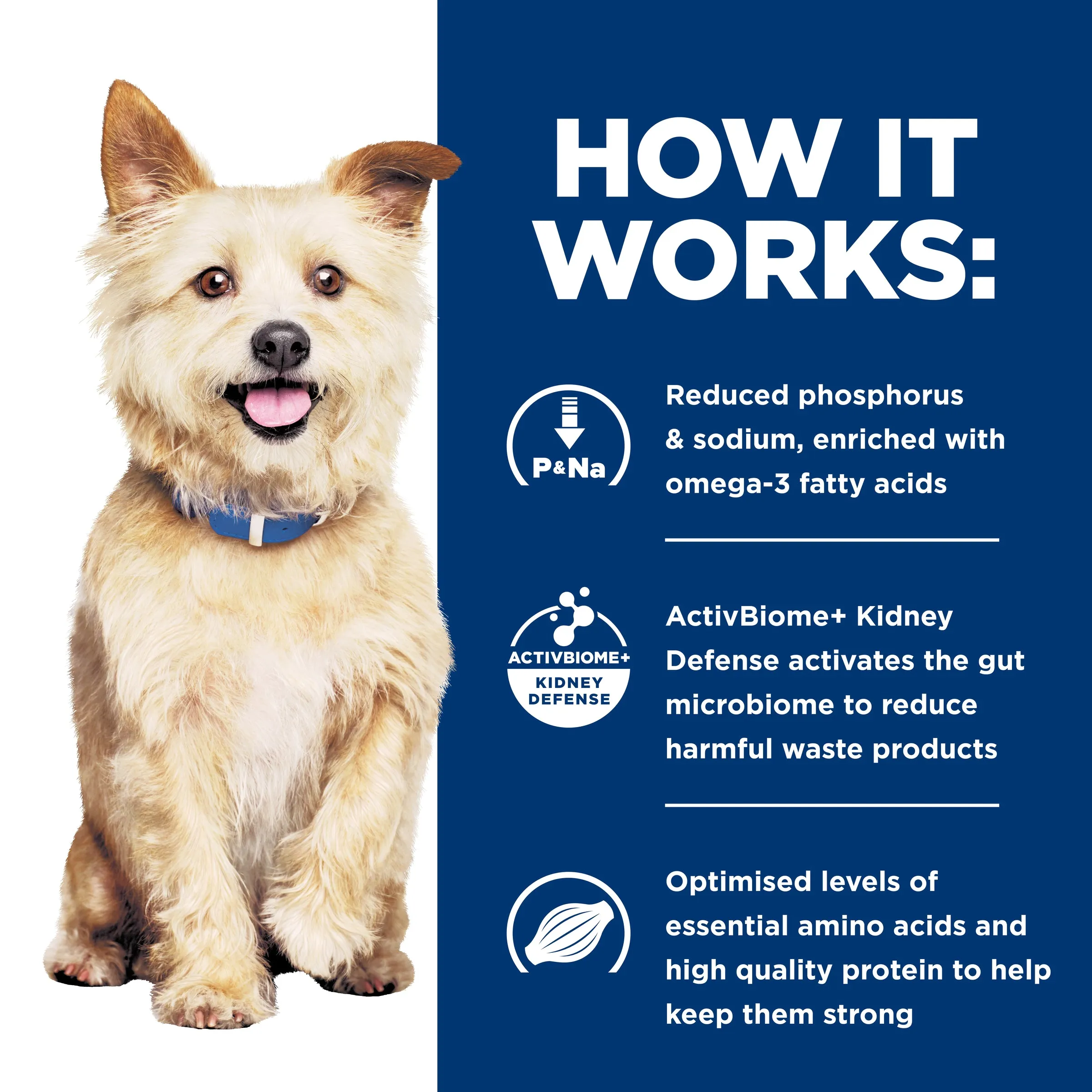 Hill's Prescription Diet k/d Kidney Care Dry Dog Food