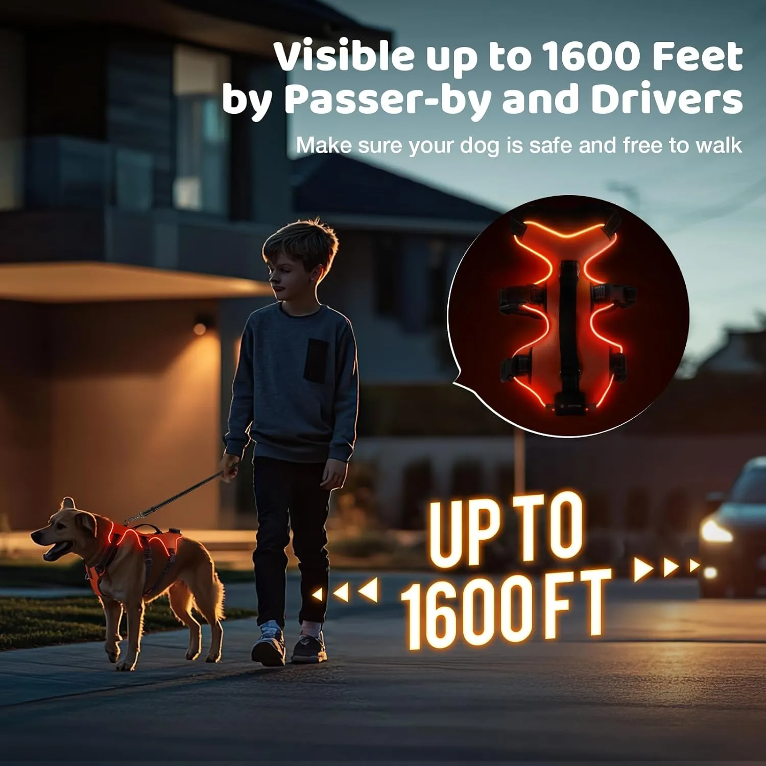 LED Dog Harness - No Pull, Rechargeable, Reflective, Glows in Dark - Orange, Medium