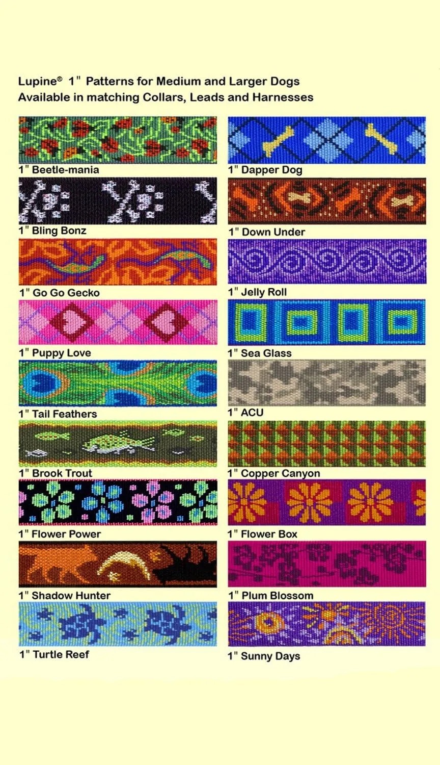 LupinePet Originals 1" Flower Power 12-20" Adjustable Collar for Medium and Larger Dogs