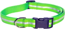 Medium Reflective Green Dog Collar: 3/4" Wide, Adjusts 13-20" - Made in USA.