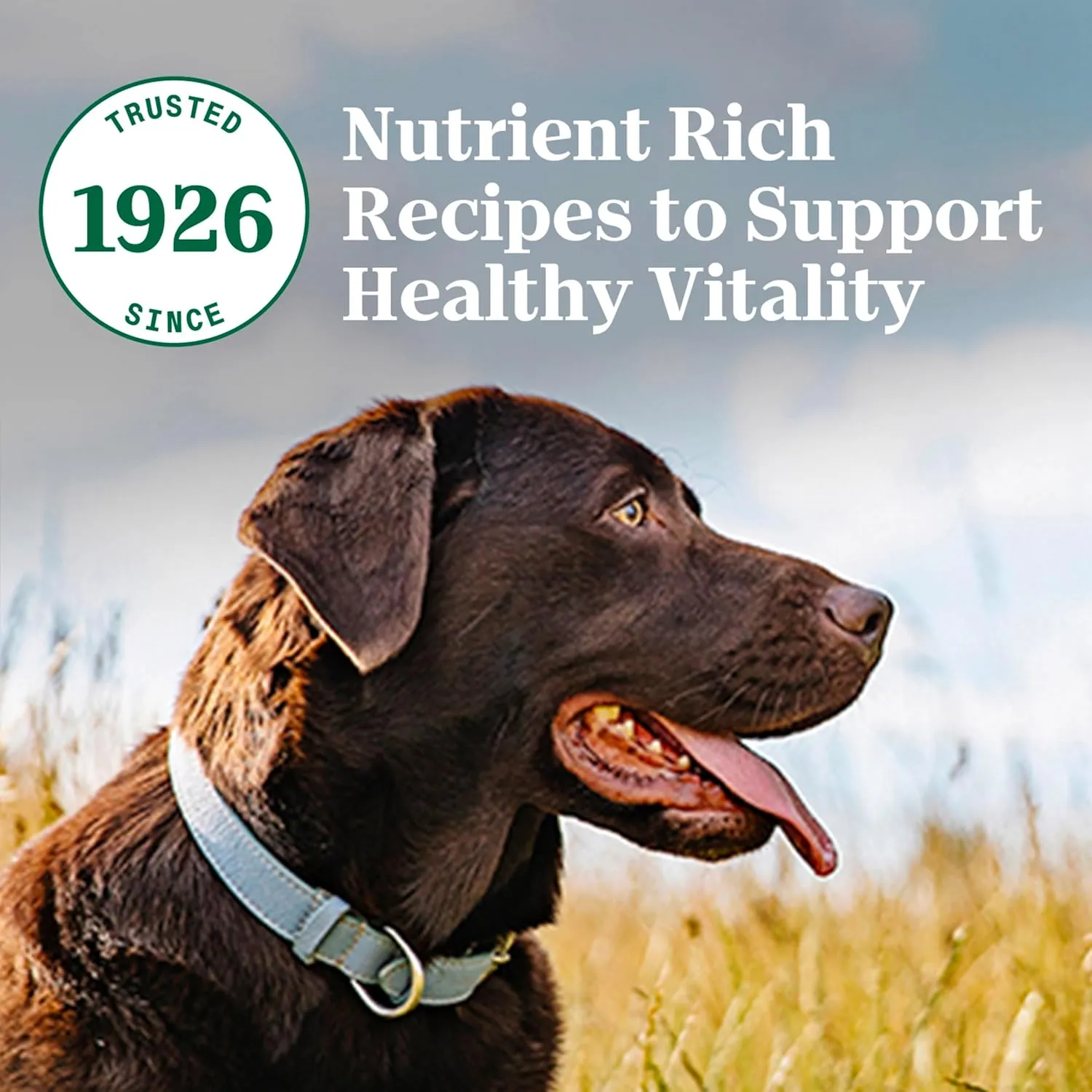 Nutro Natural Choice Adult Dry Dog Food, Beef and Brown Rice Recipe, 45 lbs.