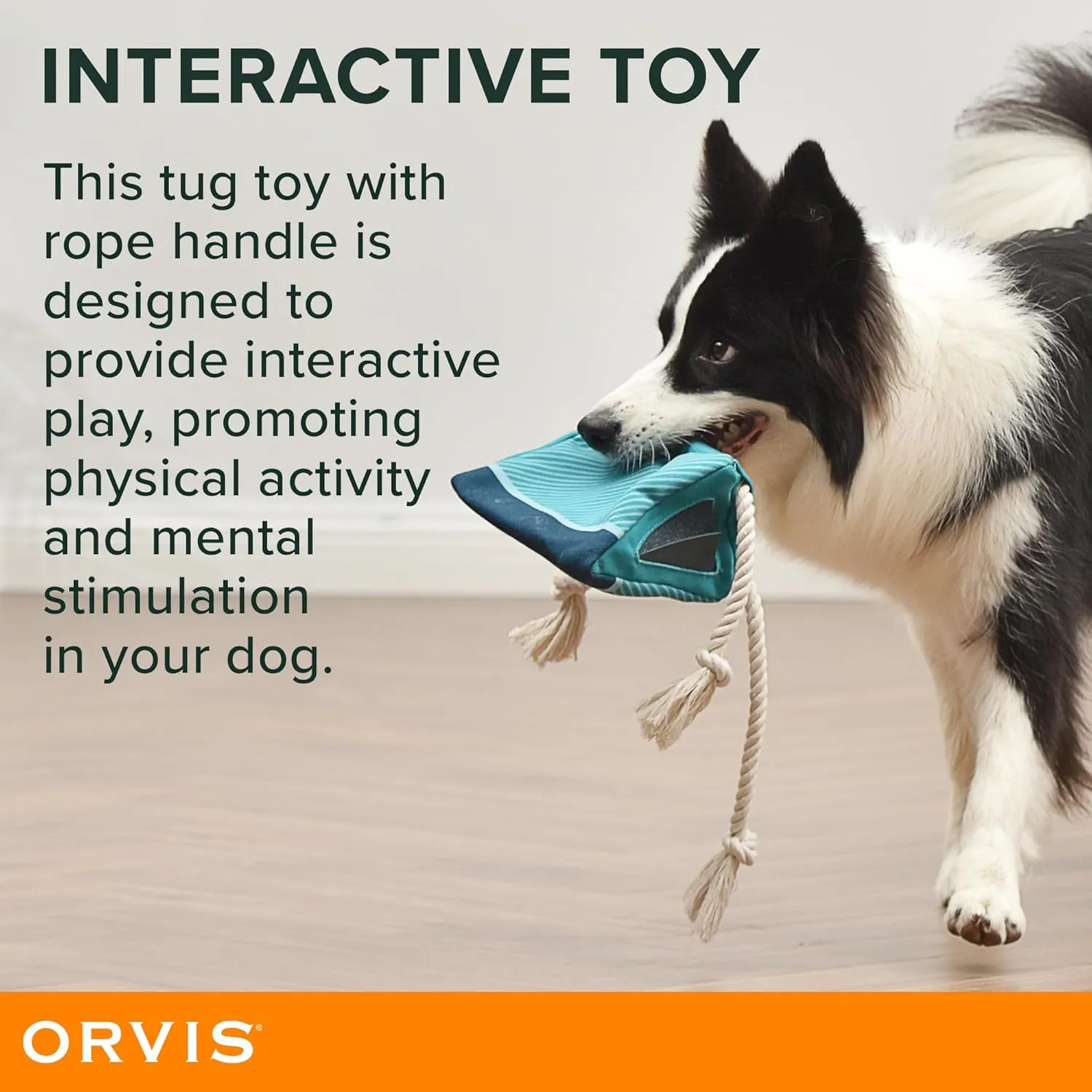 Orvis Dog Curious Raccoon Pup Tent Plush Toy with Treat Hiding Flaps; Tug and Treat Dog Toy - Durable, Interactive Chew Toys with Squeaker; with Fun Tug Ropes for Extra Fun