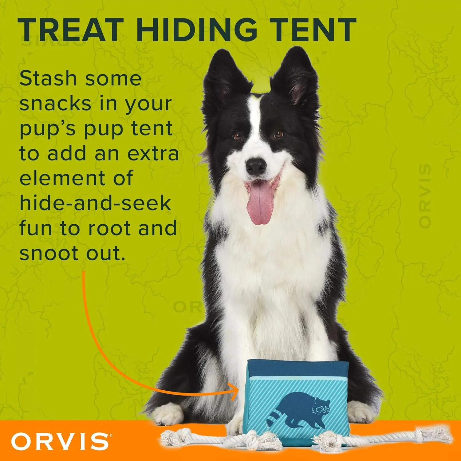 Orvis Dog Curious Raccoon Pup Tent Plush Toy with Treat Hiding Flaps; Tug and Treat Dog Toy - Durable, Interactive Chew Toys with Squeaker; with Fun Tug Ropes for Extra Fun