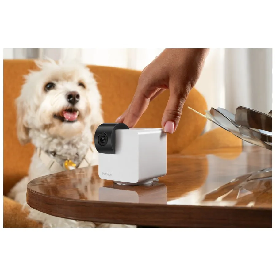 Petcube Cam 360