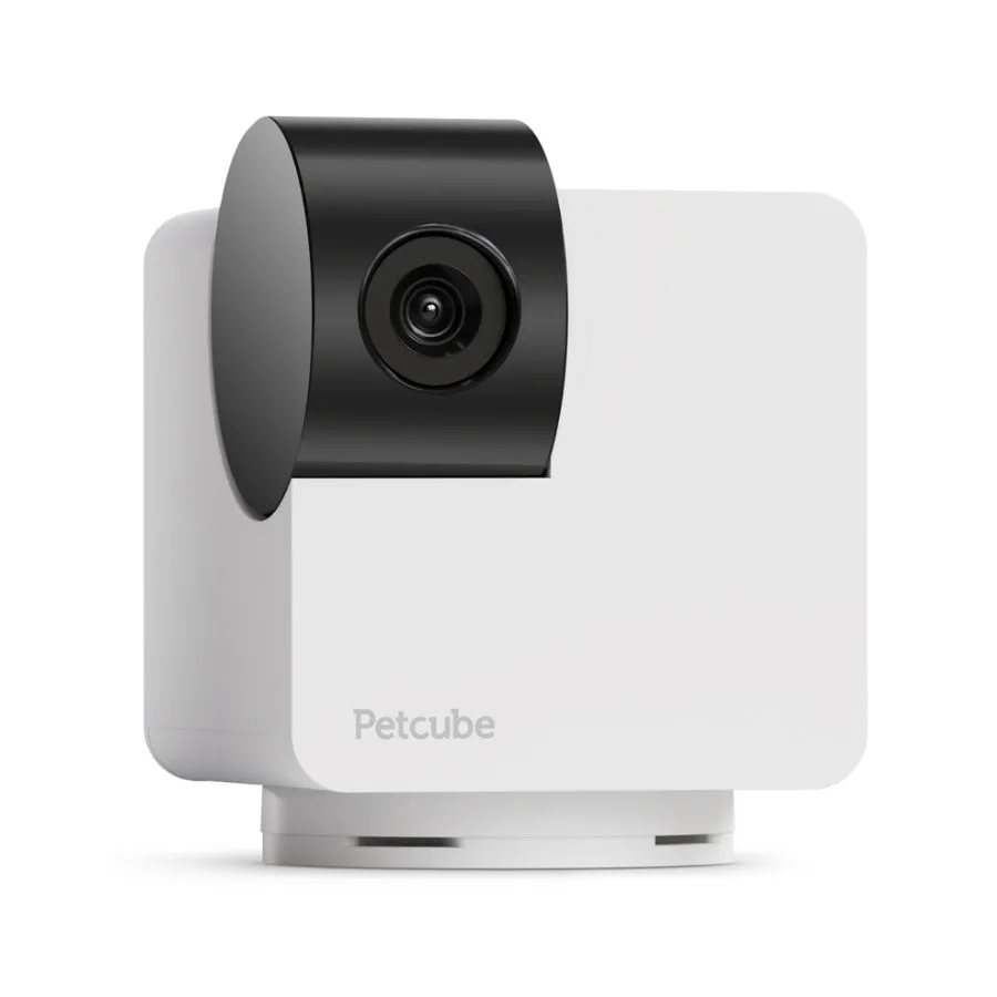 Petcube Cam 360