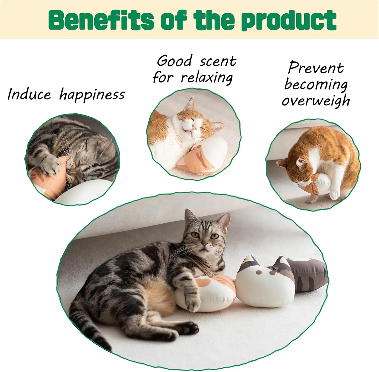 Premium Large 6" Cats Toy with Natural Catnip Inside for Indoor Cats - Bite Resistant & Refillable Cat Toys (Kkomi)