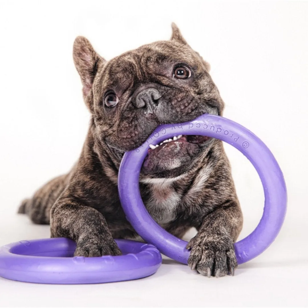 Puller Midi Interactive Toy