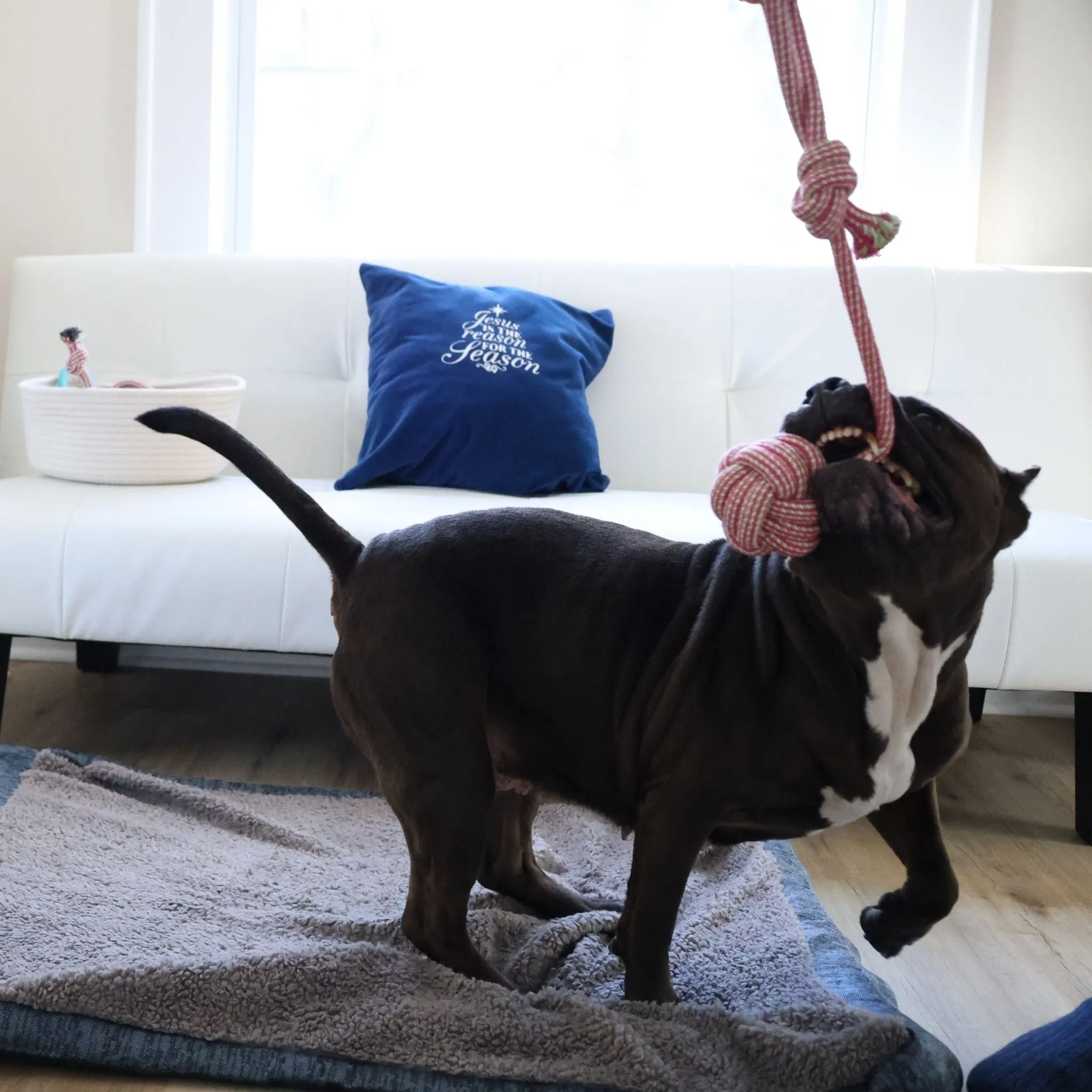 Rose Red Rope TUG TOY - Large