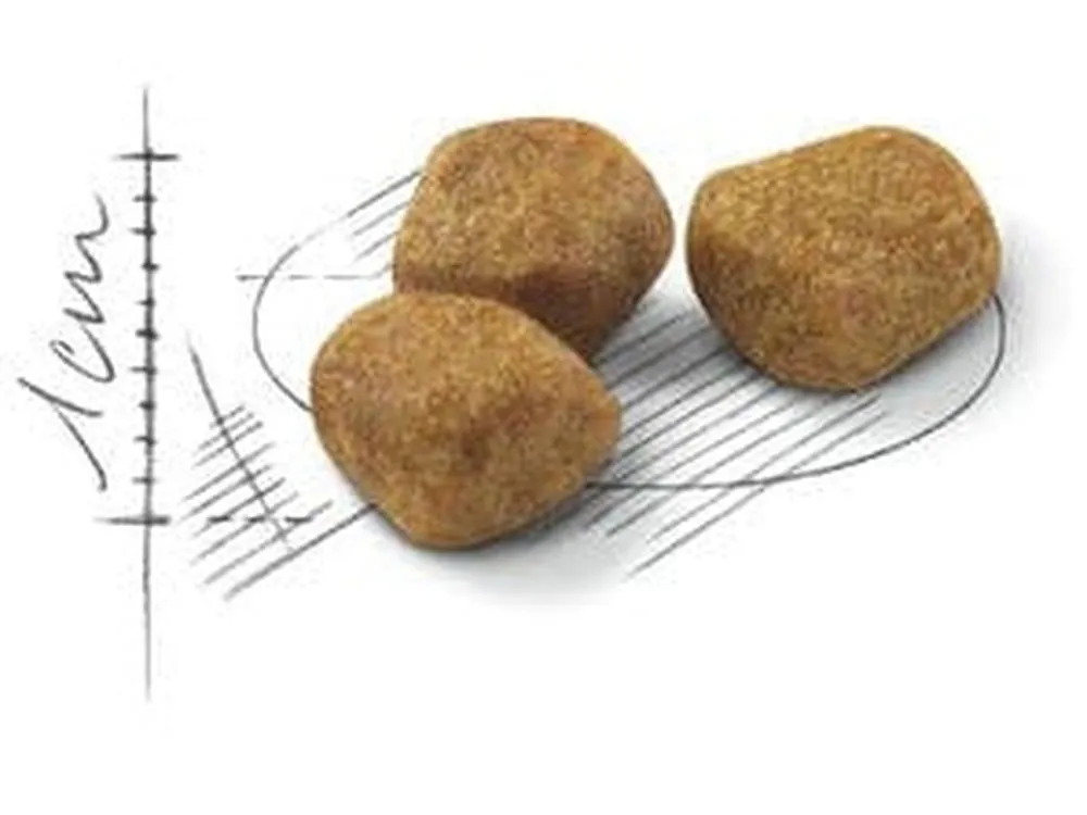 Royal Canin FHN Indoor  7 1,5kg