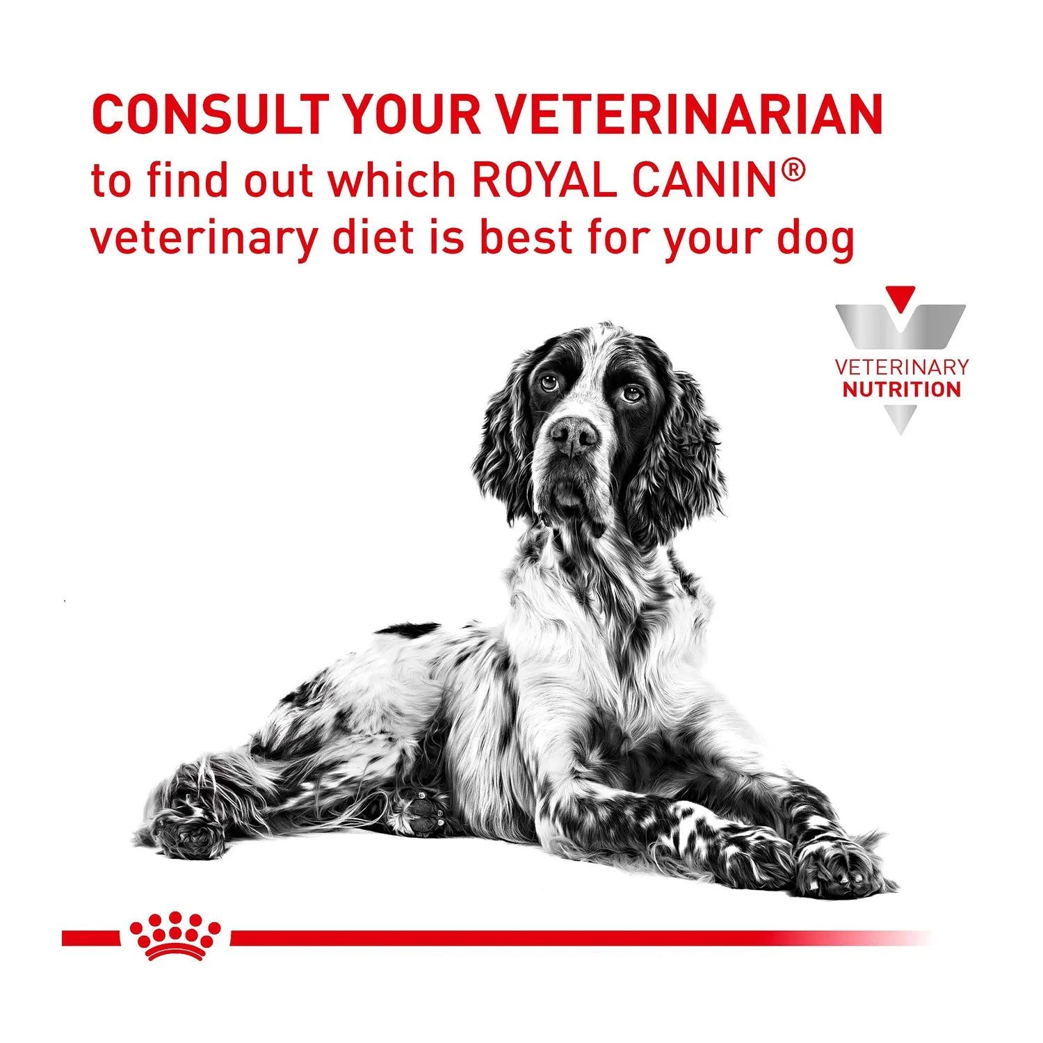 Royal Canin Veterinary Diet Renal Canned Dog Food 12x410g