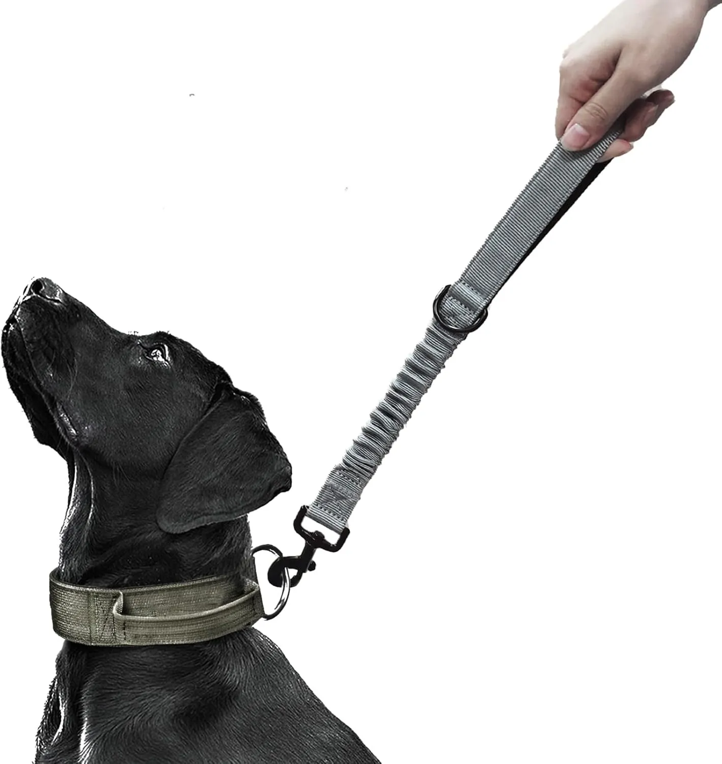 Short Dog Training Control Leash 18 Inch 1 Inch Wide Heavy Duty Elastic Traffic Bungee Leash with Padded Handle Suitable for Medium and Large Dogs(Grey)