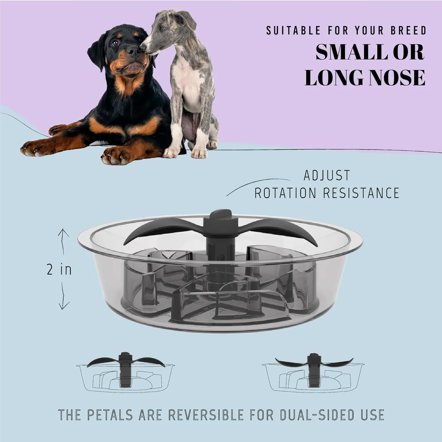 Slow Feeder Dog Bowls for Large Breed, 2.5 Cups Engagement Food Puzzle Bowl with Spinning Slow Feeder Insert, Non-Slip Base, Fits for Raised Stand, Hard Maze Design for Medium and Large Dogs