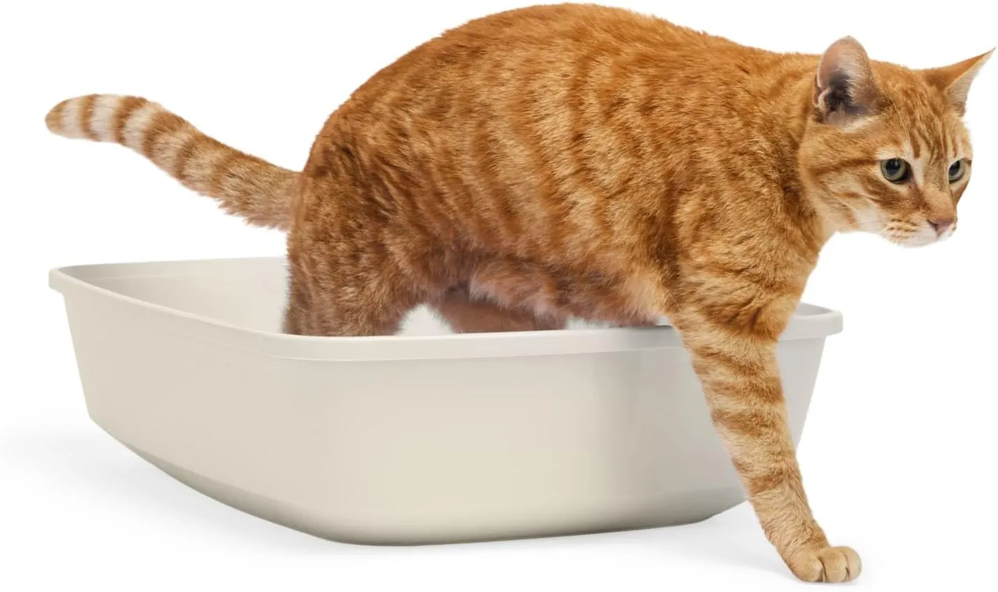 So Phresh Open Cat Litter Box Mushroom Large 19.5" L X 14.8" W X 4.3" H