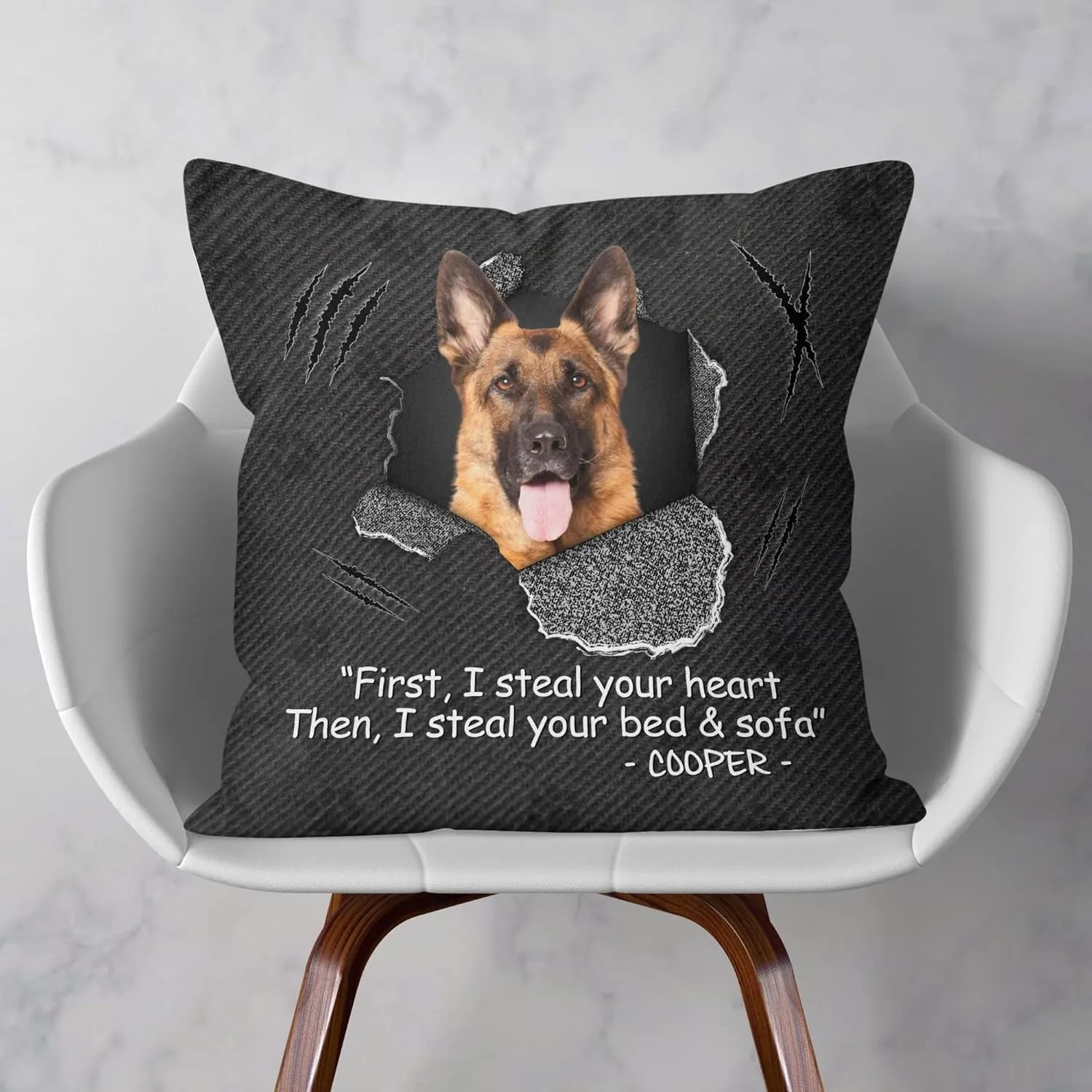 THE WEIRD I Steal Your Bed and Sofa Personalized Pet Photo Pillow Funny Dog Cat Pillow Bedroom Sofa Couch Home Decor Gift for Dog Cat Parent Pet Owner Pet Lover on Birthday Xmas Funny Pet Face Pillow