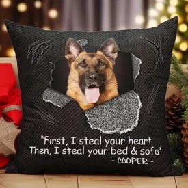 THE WEIRD I Steal Your Bed and Sofa Personalized Pet Photo Pillow Funny Dog Cat Pillow Bedroom Sofa Couch Home Decor Gift for Dog Cat Parent Pet Owner Pet Lover on Birthday Xmas Funny Pet Face Pillow