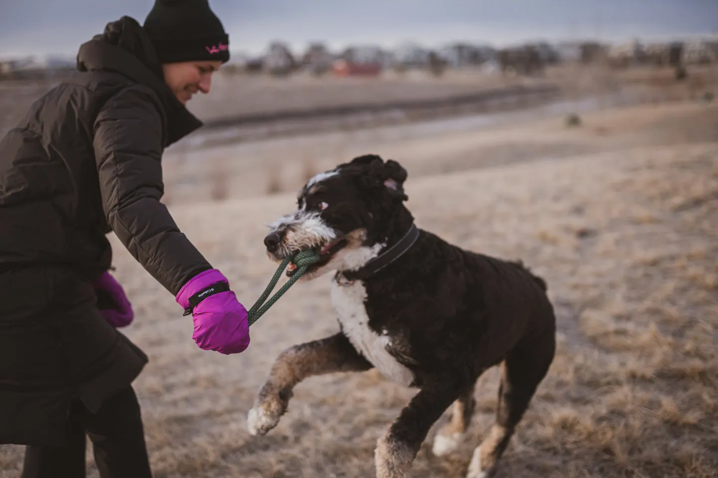 Woof! Tug Toys